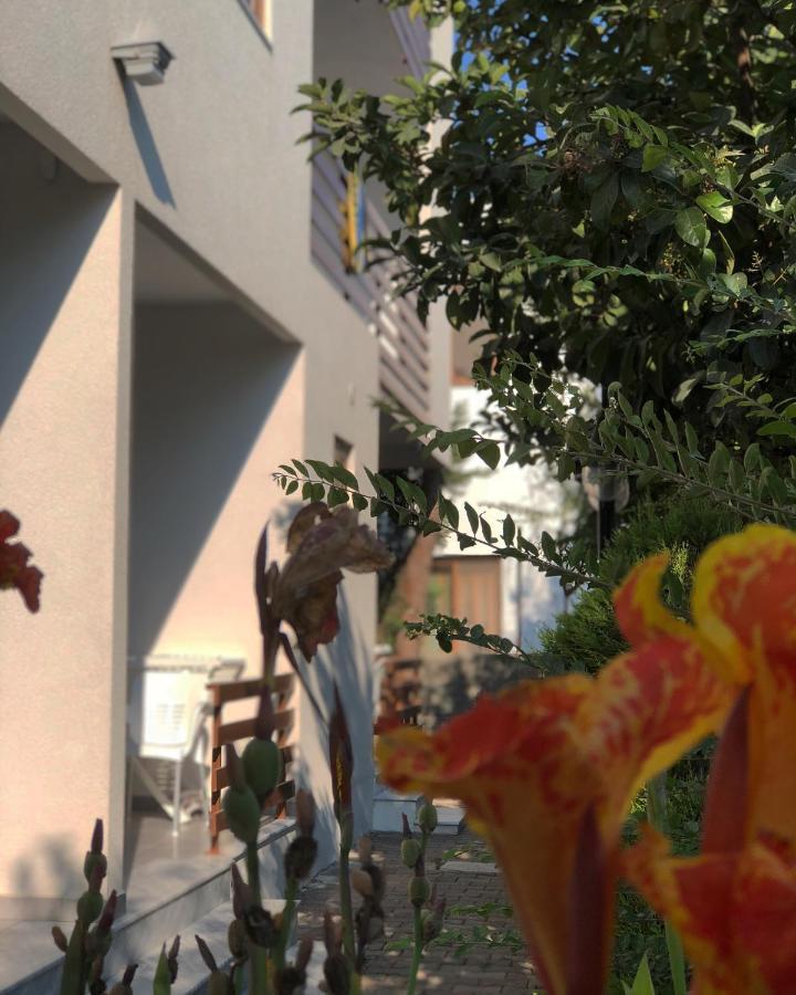 Velipojë Hotel Athina מראה חיצוני תמונה